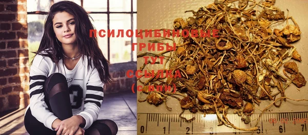 гидра Медвежьегорск