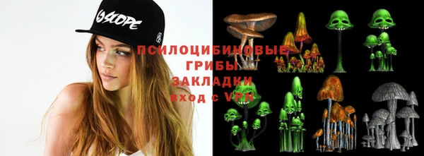 гидра Медвежьегорск
