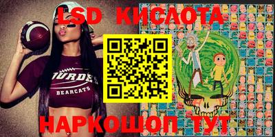 гидра Заволжье