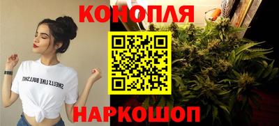 гидра Заволжье