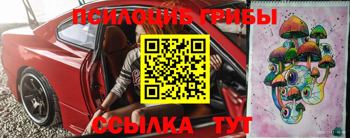 Курган  Псилоцибиновые грибы Psilocybine cubensis  Вход с VPN 