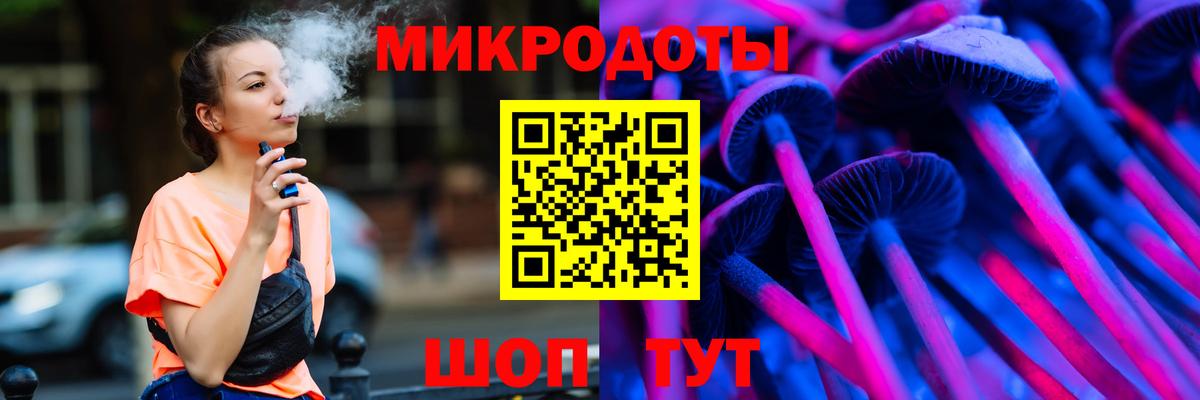 Псилоцибиновые грибы Cubensis Курган